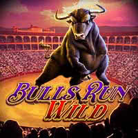 Bulls Run Wild